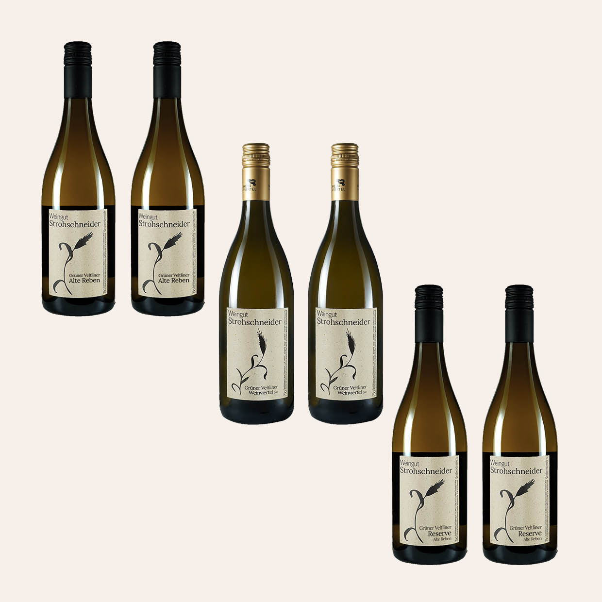 Grüner Veltliner Kennenlernpaket